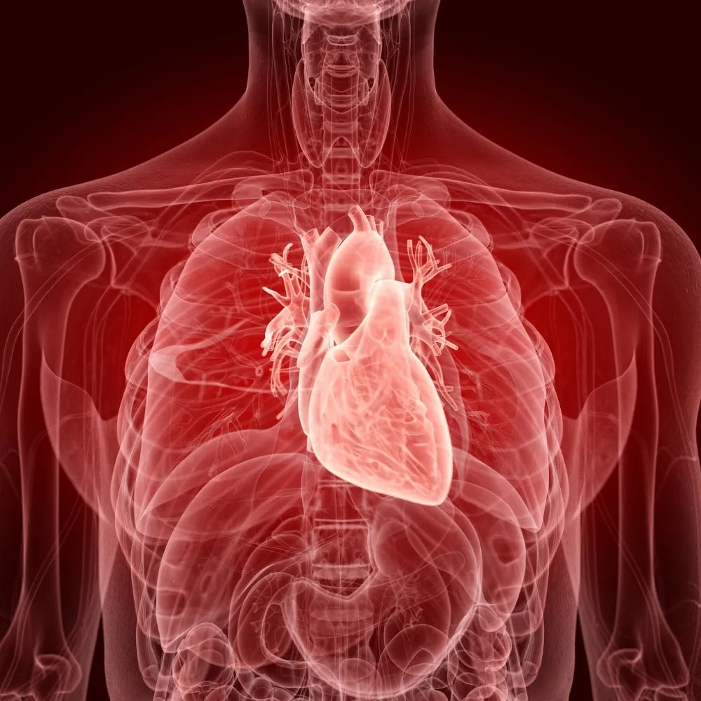 Cardiac Diseases