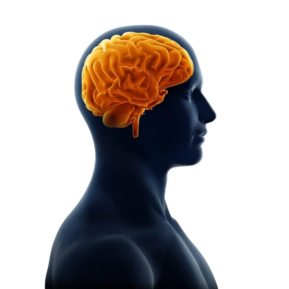 Multiple Sclerosis