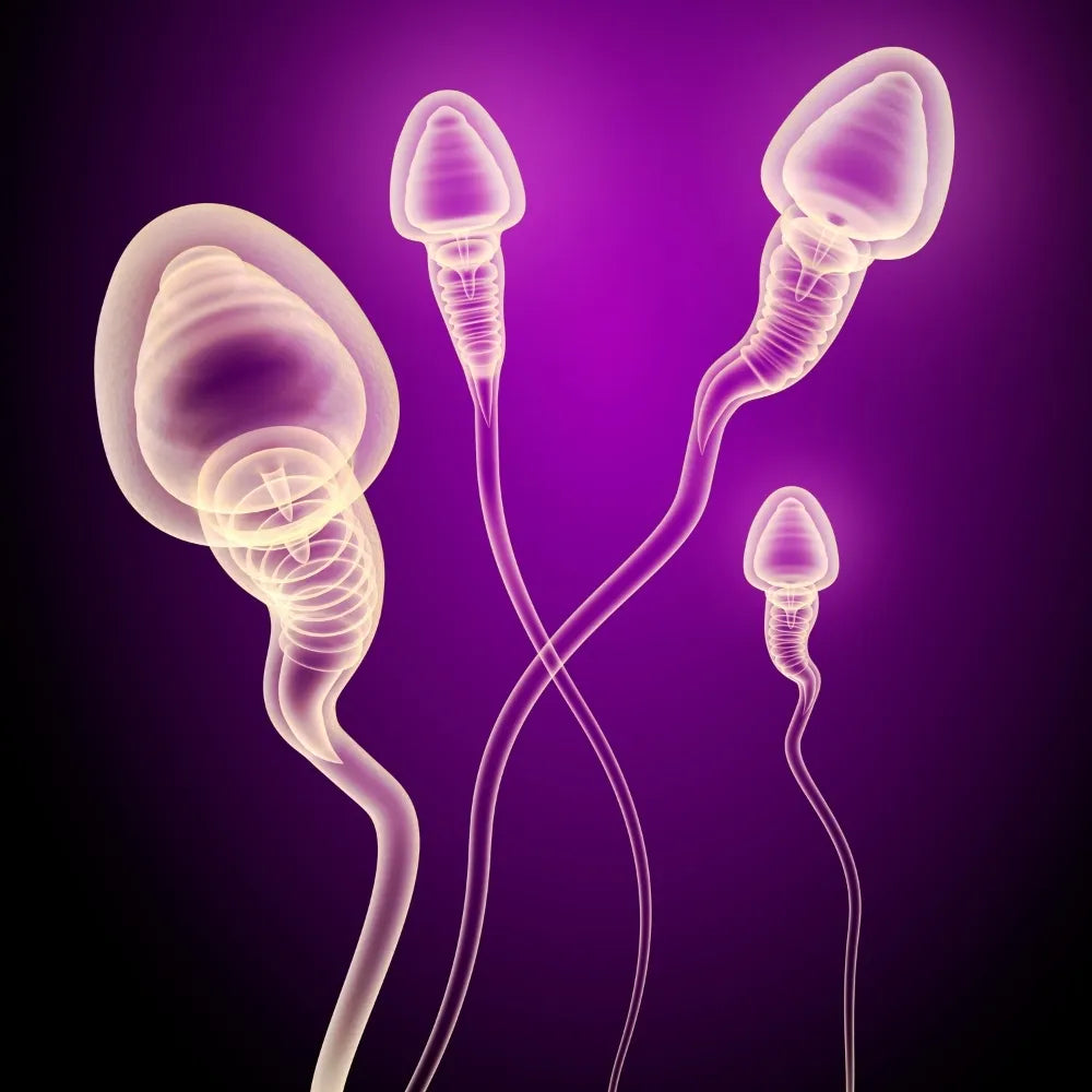 Oligospermia