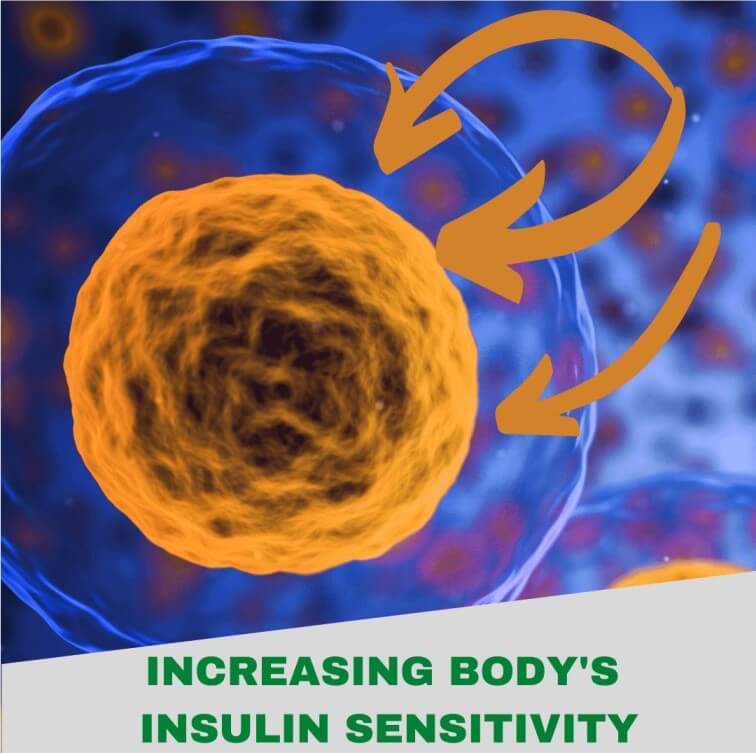 Insulin Sensitivity